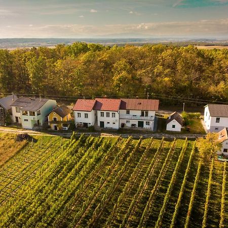Ferienhaus Szapary I Eisenberg an der Pinka Εξωτερικό φωτογραφία