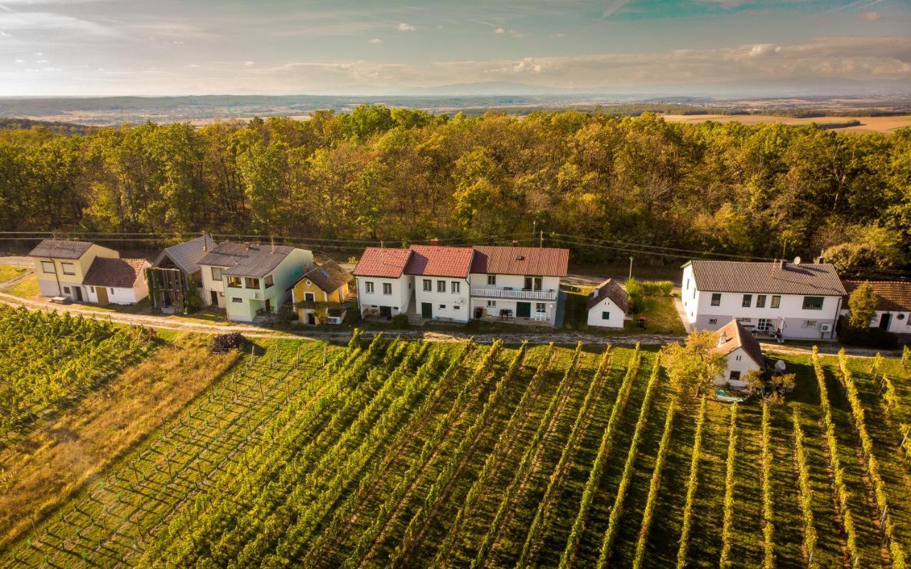 Ferienhaus Szapary I Eisenberg an der Pinka Εξωτερικό φωτογραφία